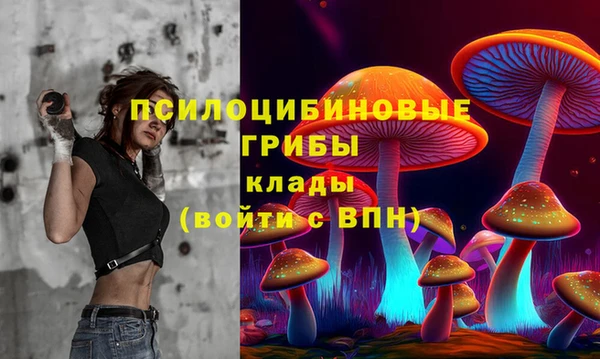 молекула духа Алексеевка